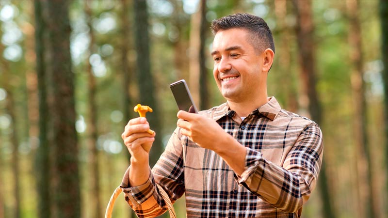 Promeneur photographiant une plante